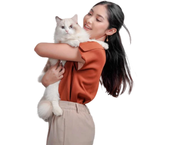 chat-cta