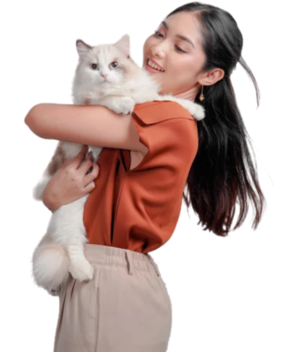chat-cta